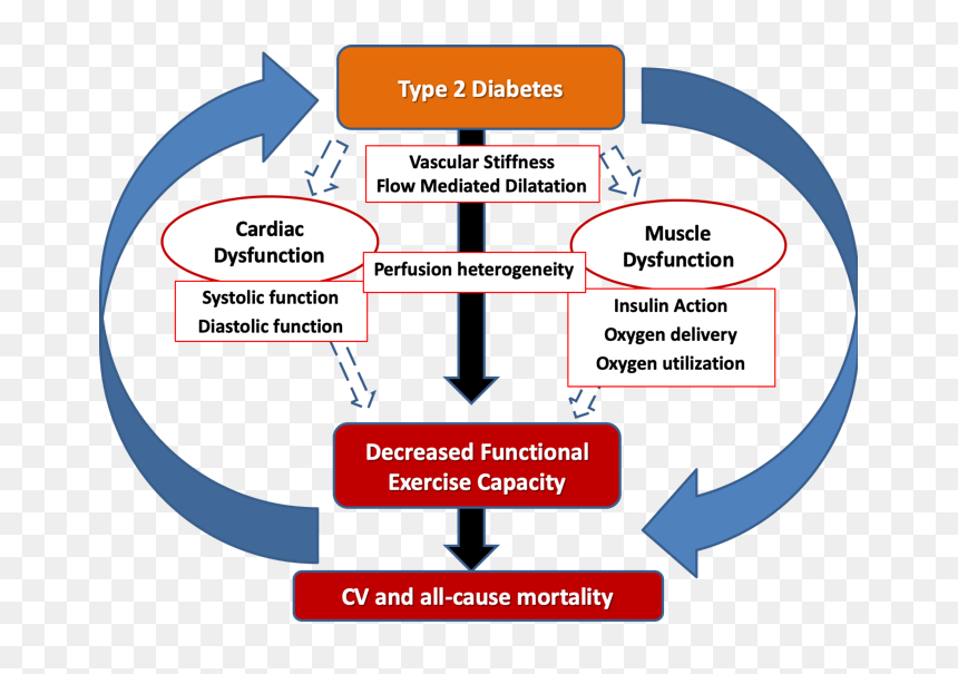 Exercise And Diabetes, HD Png Download - j cole crown png
