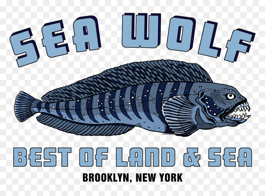 Sea Fish Png , Png Download - Sea Wolves Fish, Transparent Png - sea fish png