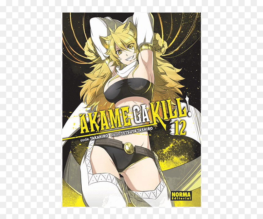Akame Ga Kill, HD Png Download - akame ga kill png