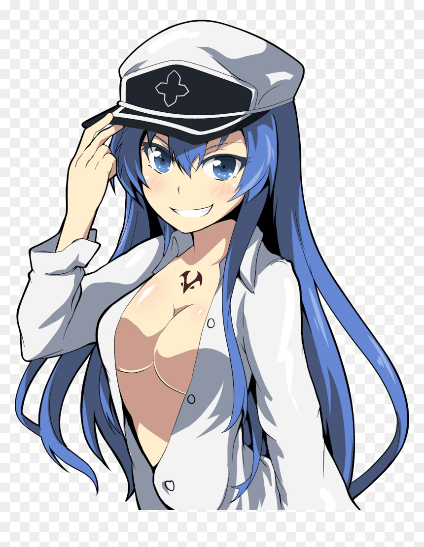 Akame Ga Kill Lewd, HD Png Download - akame ga kill png