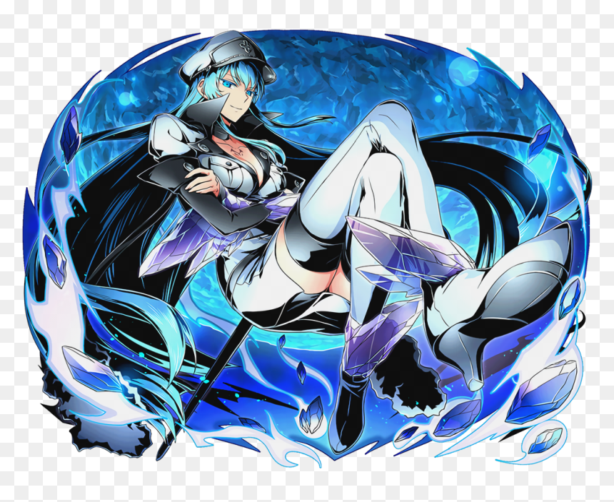 Akame Ga Kill X Divine Gate, HD Png Download - akame ga kill png