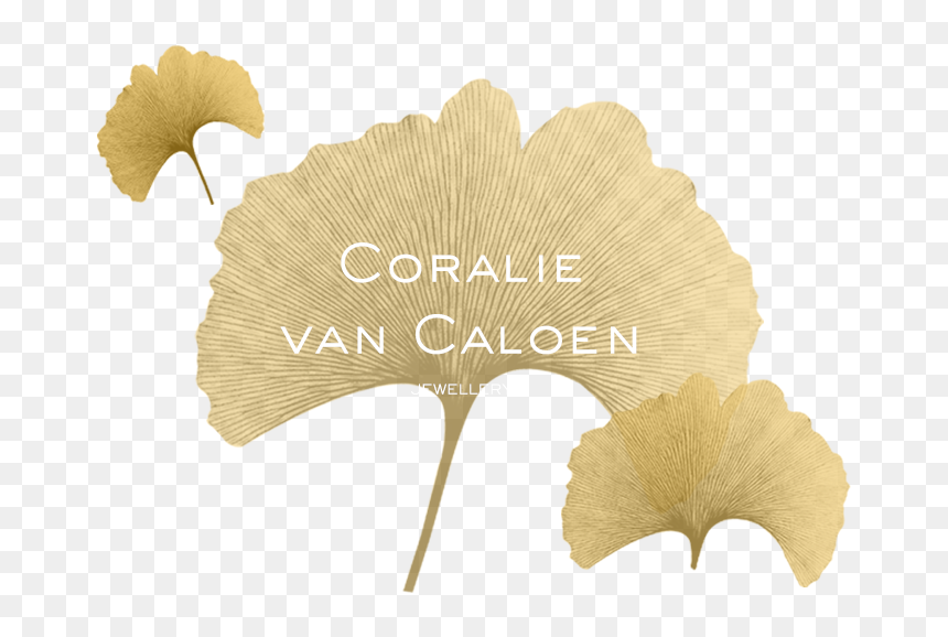 Maidenhair Tree, HD Png Download - pink tree png