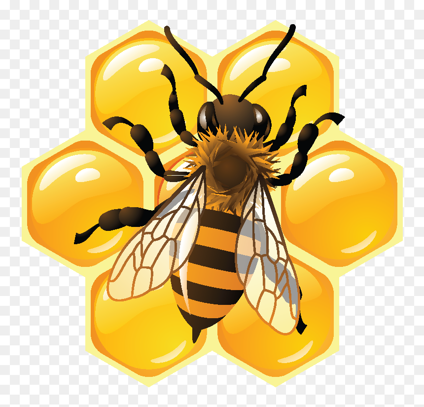 Honey Festival, HD Png Download - arrow keys png
