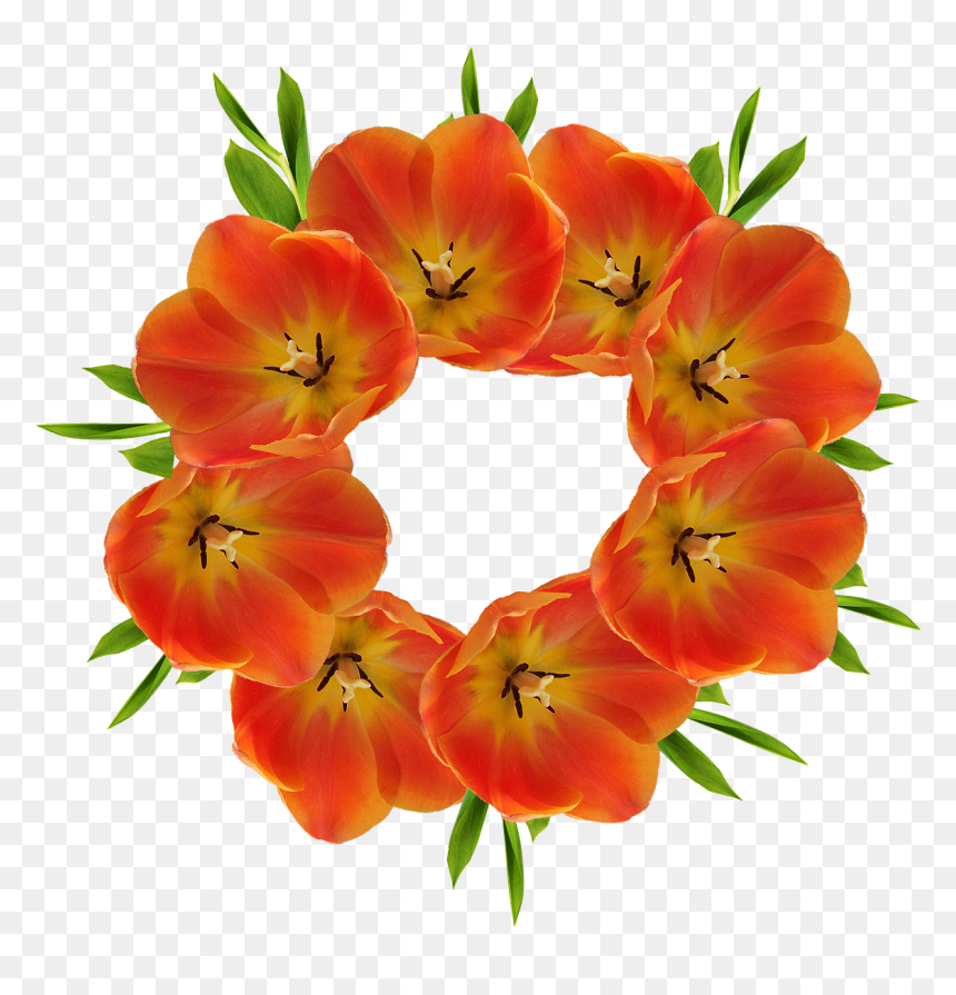 Red Flower Crown Png, Transparent Png - red flower crown png