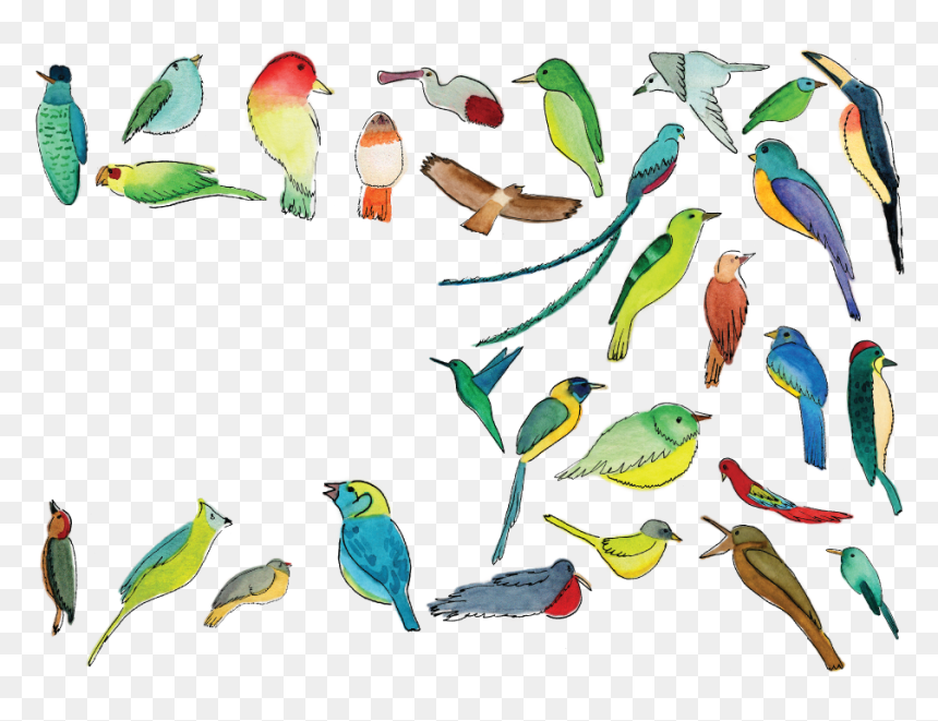 Coraciiformes, HD Png Download - quetzalcoatl png