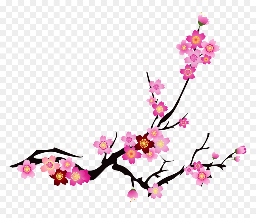 Chinese Cherry Blossom Vector, HD Png Download - cherry blossom vector png