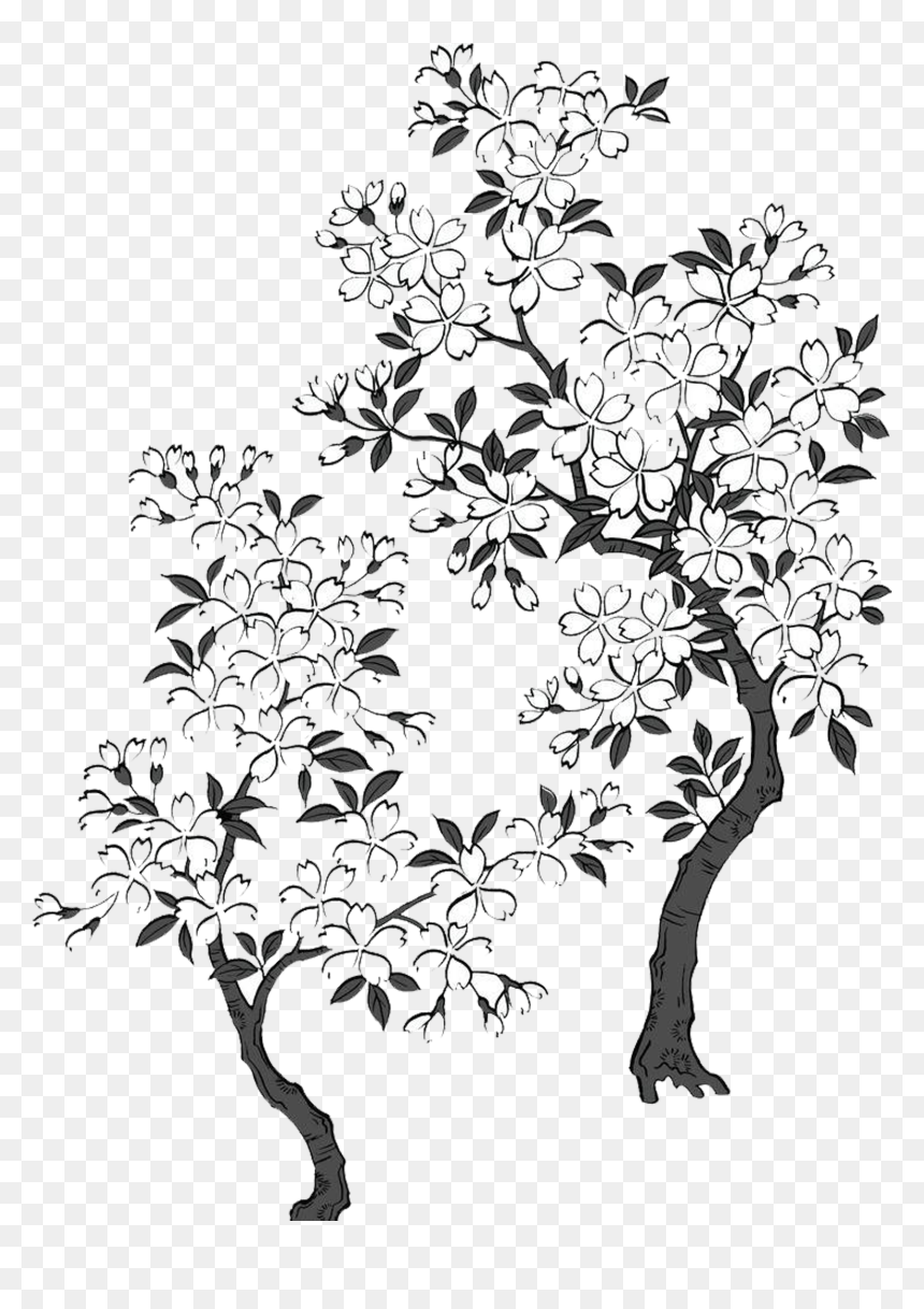 日本 樱花 树 简 笔画, HD Png Download - cherry blossom vector png
