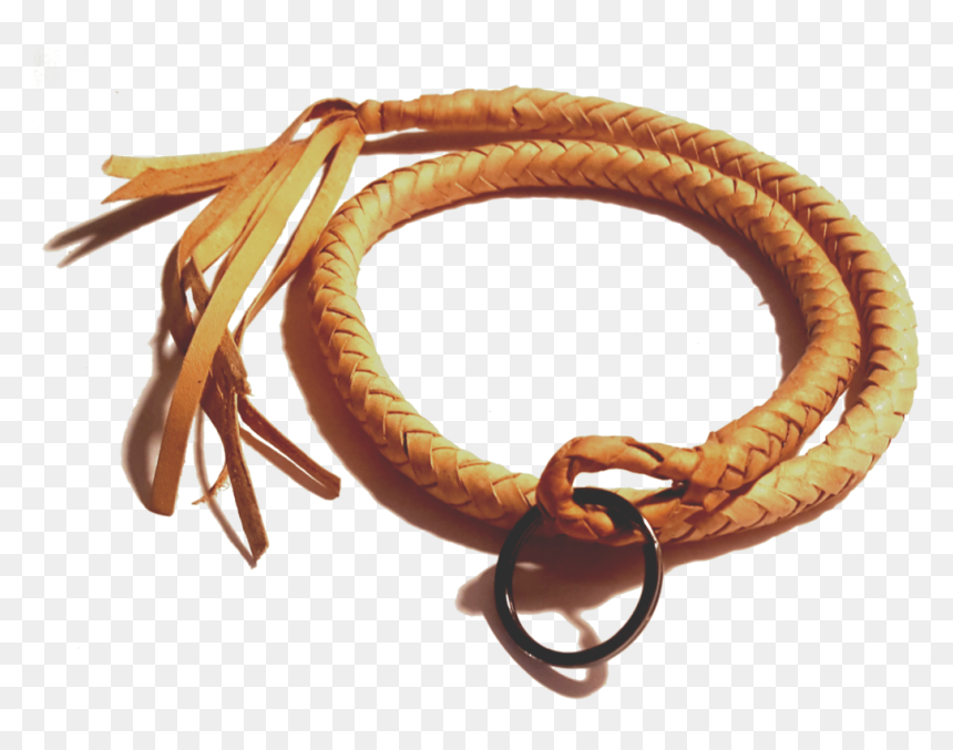 Bracelet, HD Png Download - wisk png