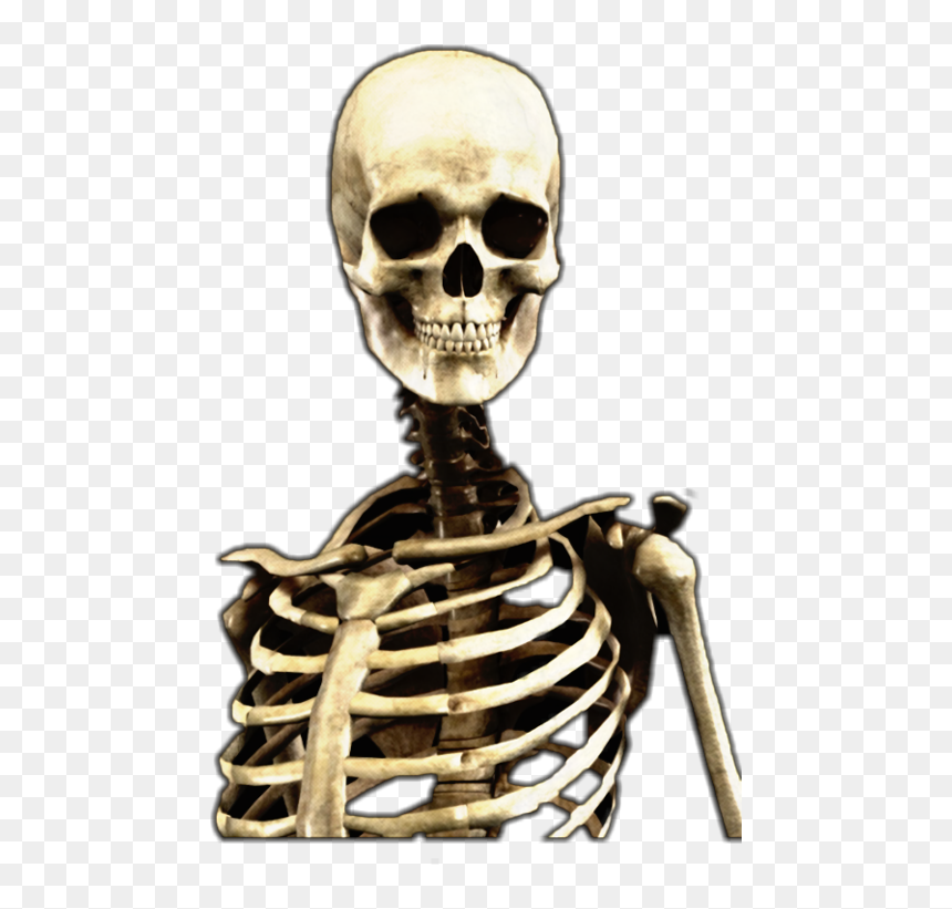 Picsart Edit Skeleton Png, Transparent Png - heath slater png