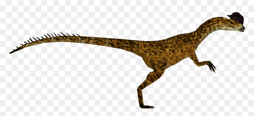 Velociraptor, HD Png Download - dilophosaurus png