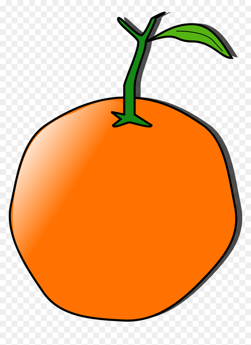 Orange Clip Art, HD Png Download - tangerine png