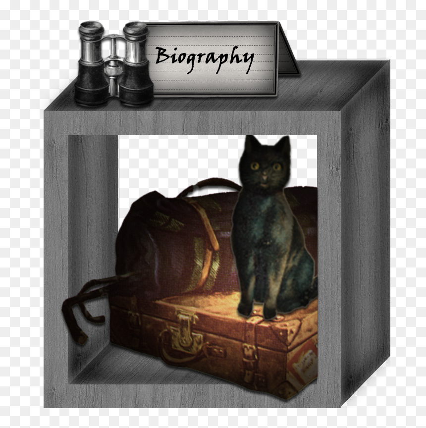 Biography - Black Cat, HD Png Download - victor png
