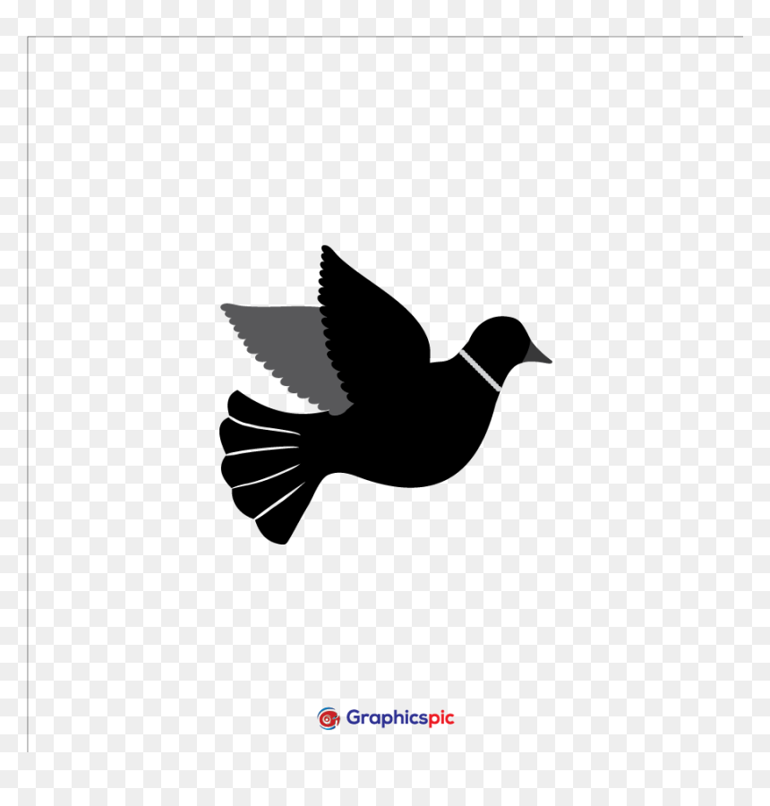 Graphics Vector - Perching Bird, HD Png Download - peace pigeon png