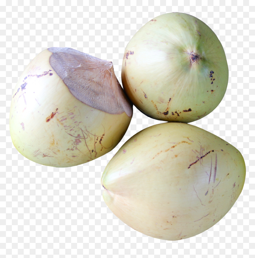 Coconut Top View Png, Transparent Png - spices clipart png