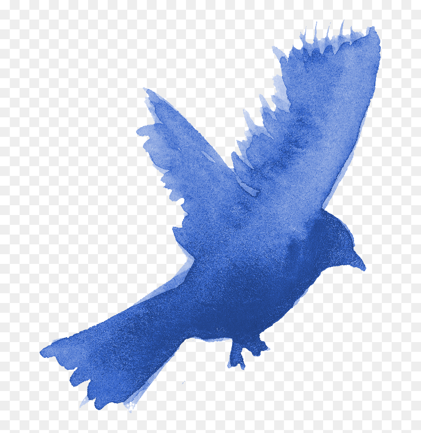 Watercolor Blue Bird Png, Transparent Png - peace pigeon png