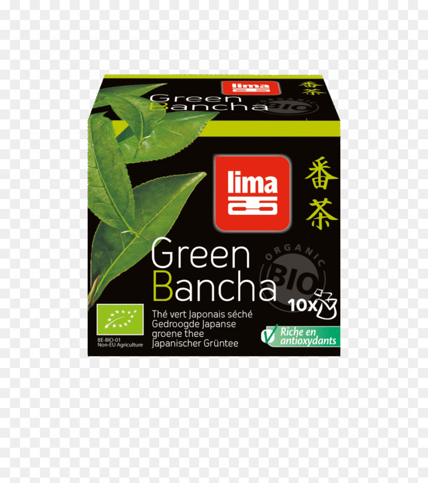 Riz, HD Png Download - leaf .png