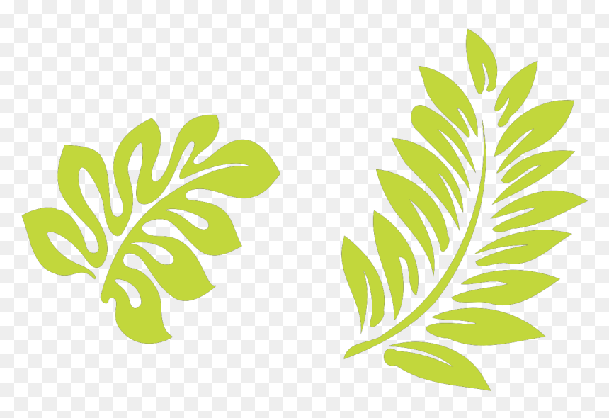 Hibiscus Clip Art, HD Png Download - leaf .png