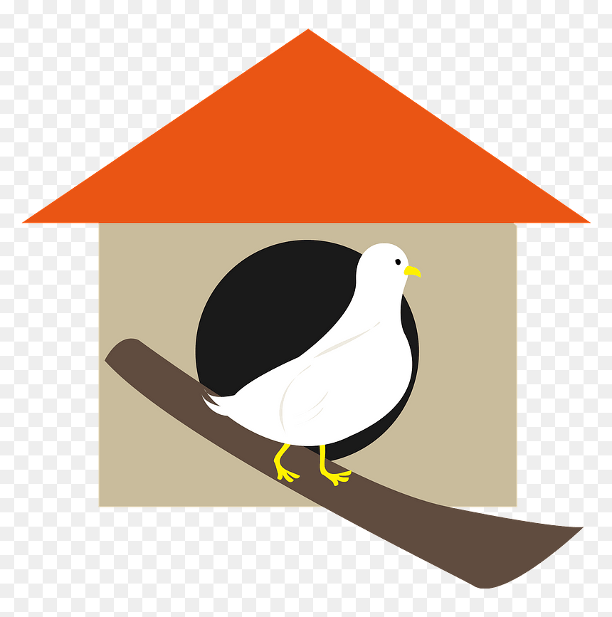Bird Nest Box Clipart - Illustration, HD Png Download - nest clipart png