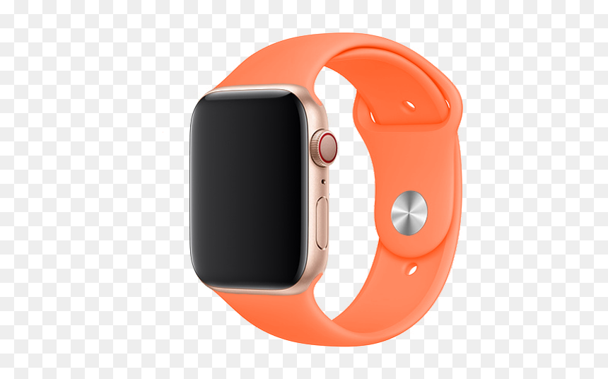 Living Coral Color Accessories, HD Png Download - watch png images