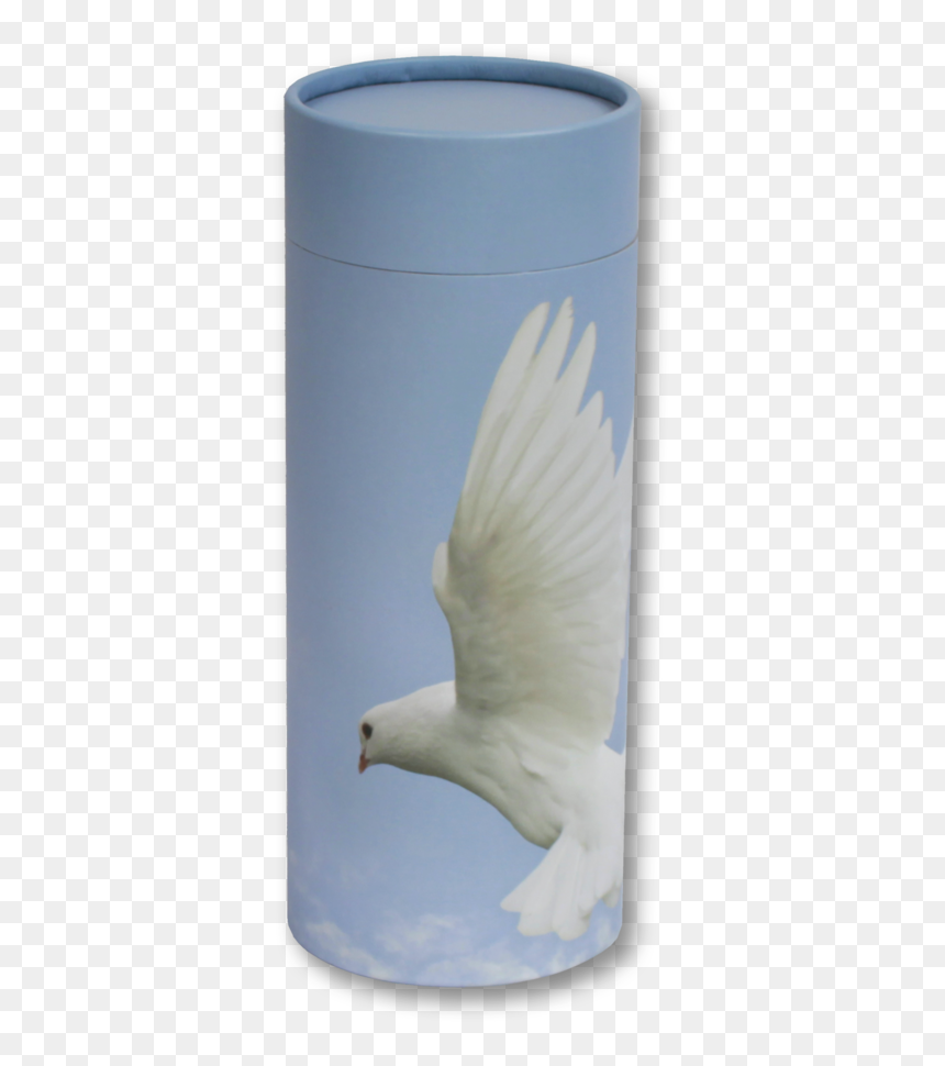 Ascending Dove - Dove, HD Png Download - peace pigeon png