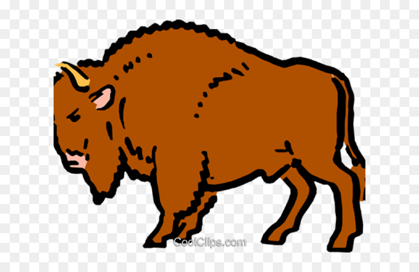 Transparent Buffalo Clipart - Buffalo Clipart, HD Png Download - buffalo png images