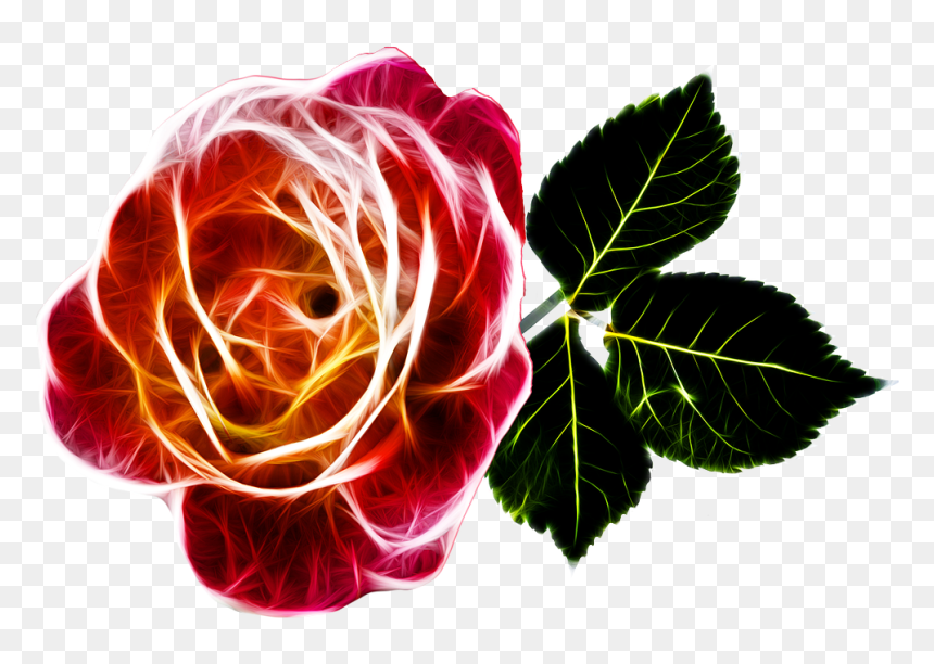 Rosa De Amor Png, Transparent Png - abstract flower png