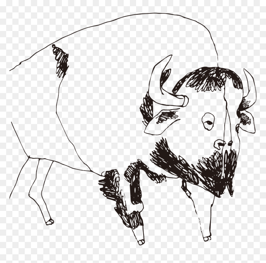Sketch, HD Png Download - buffalo png images