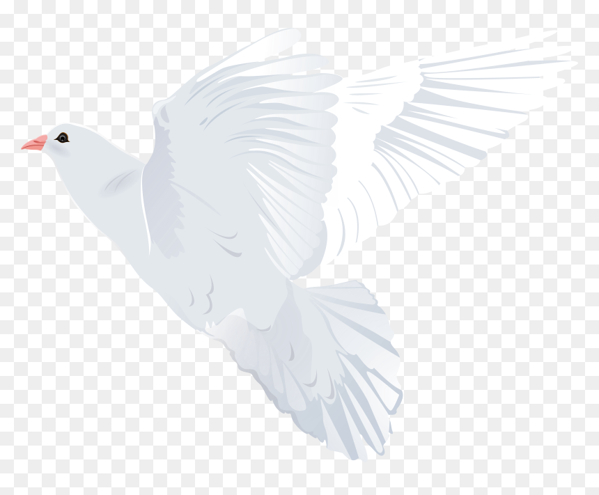 Dove Png Clipart White, Transparent Png - peace pigeon png