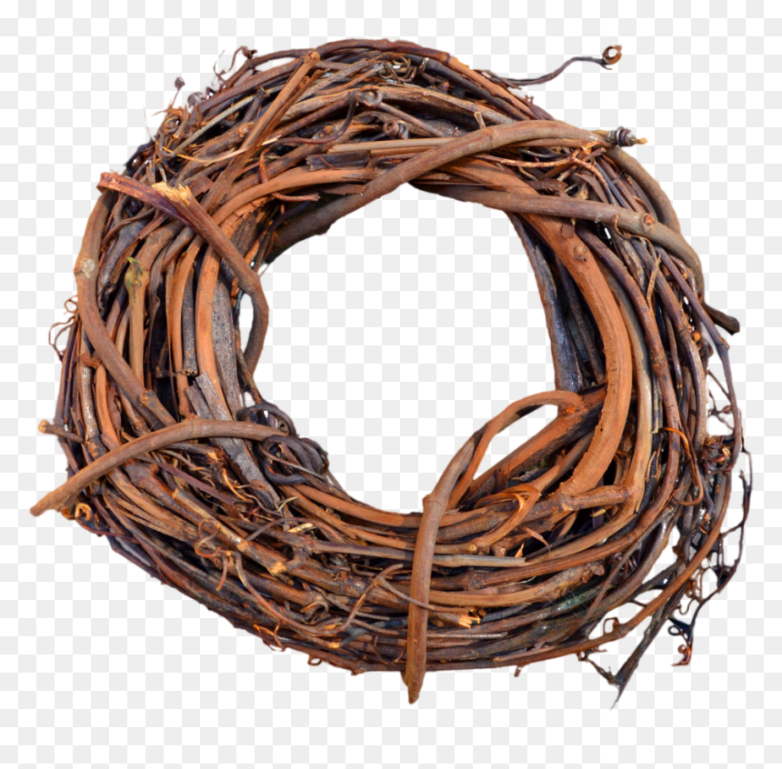 Nest Transparent Png Image - Portable Network Graphics, Png Download - nest clipart png