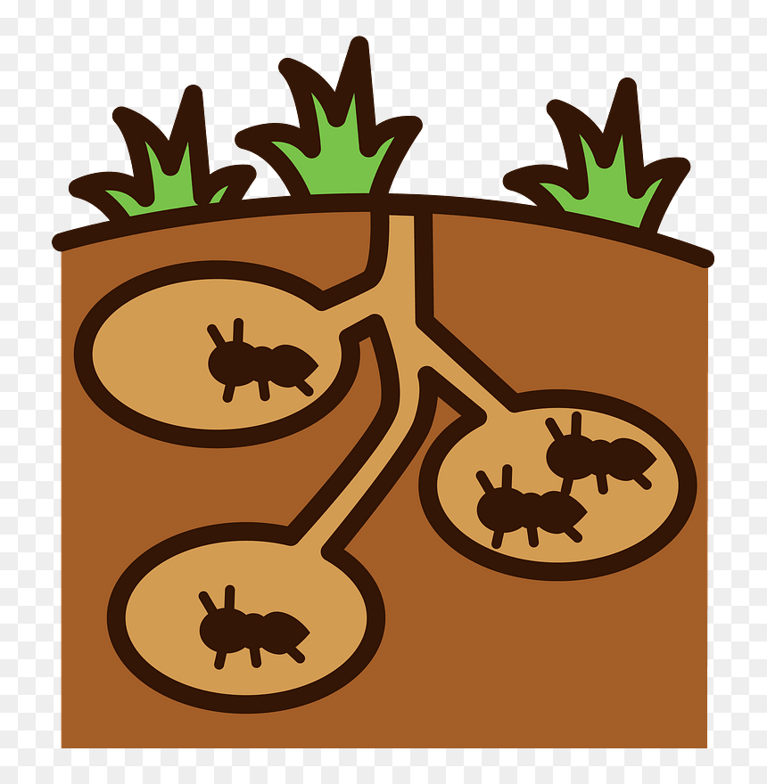 Ants Nest Clipart, HD Png Download - nest clipart png