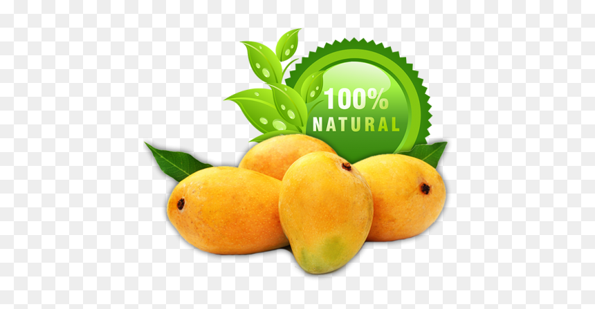 Mangoes - Alphonso Mango Png, Transparent Png - alphonso mango png