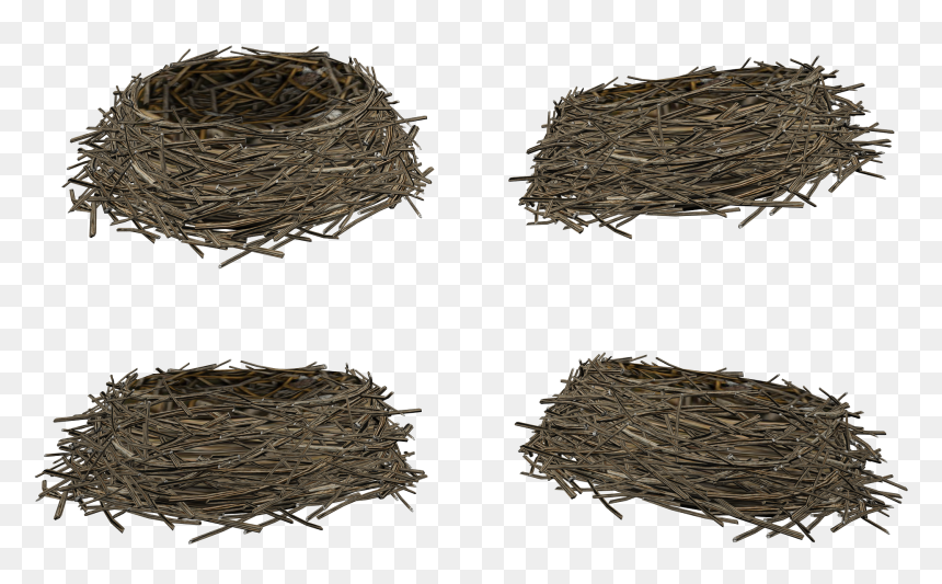 Nest Png - Transparent Birds Nest Png, Png Download - nest clipart png