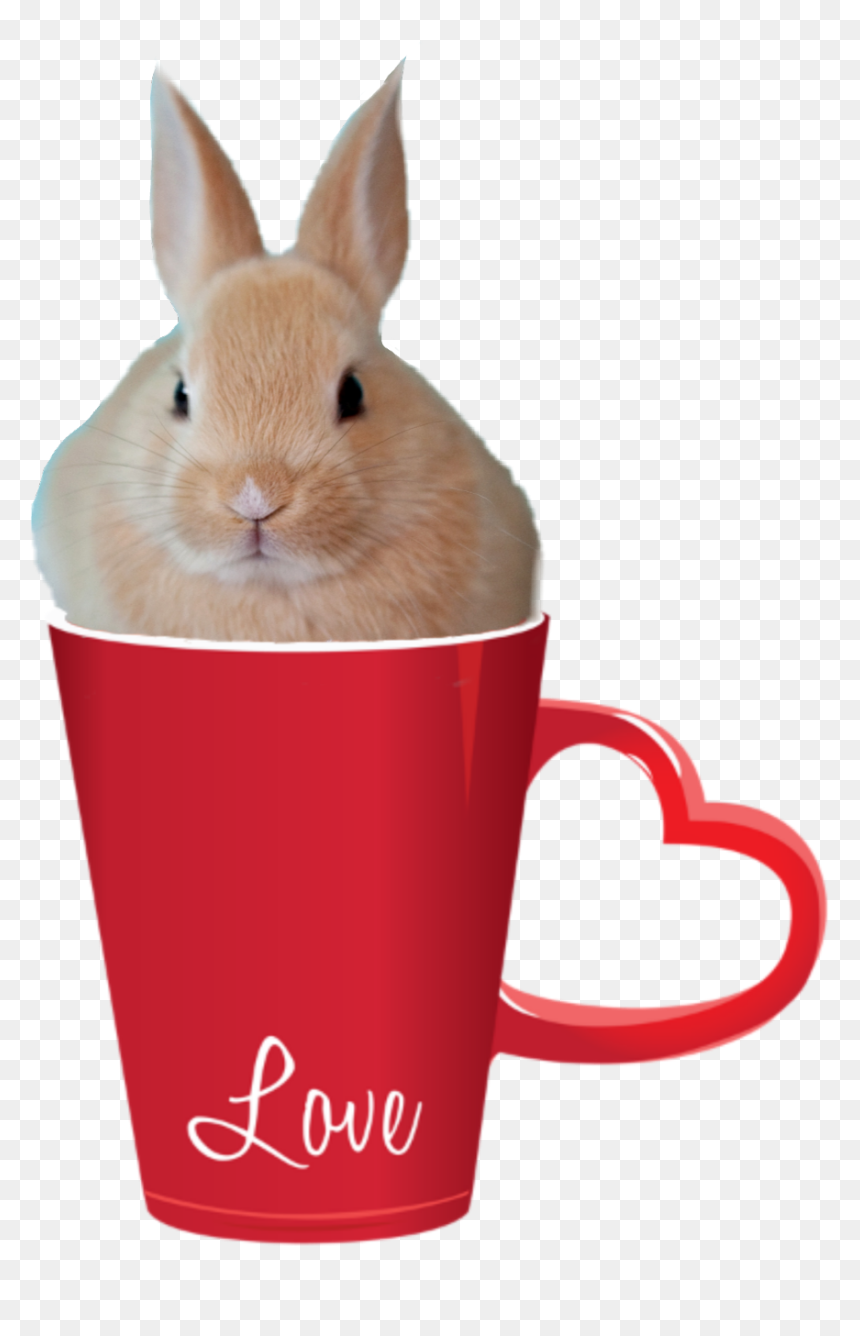 ##ove #bunny #rabit #cup #cute #animal #coffee - Red Valentines Day Mugs, HD Png Download - kawaii bunny png