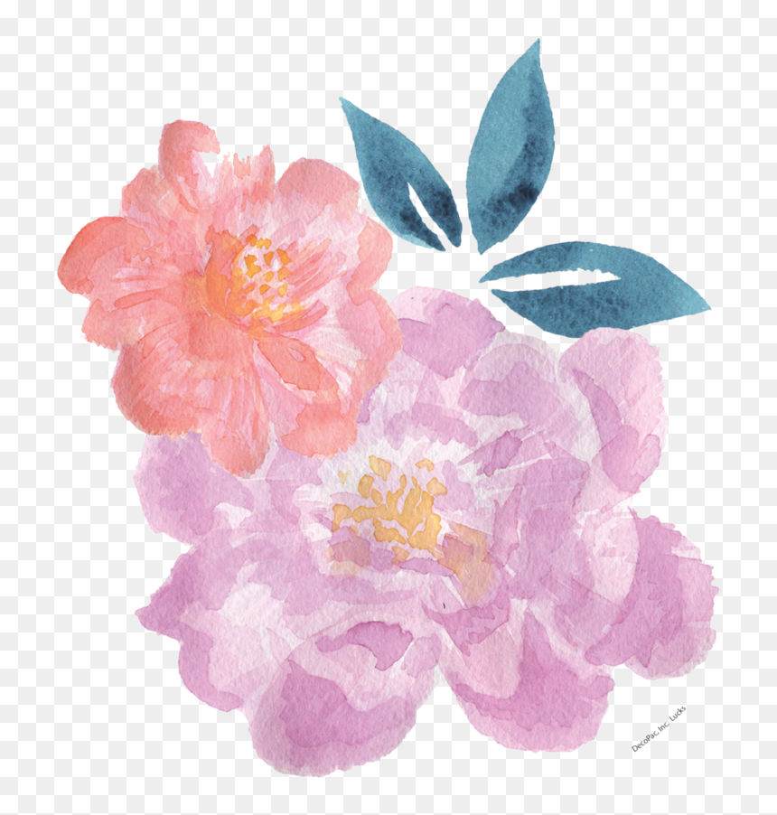 Watercolor Painting , Png Download, Transparent Png - watercolor peonies png