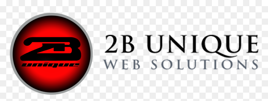 2b Unique Web Solutions - New York Knicks, HD Png Download - web solutions png