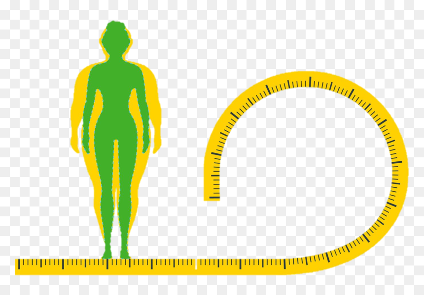 Soja Plus, HD Png Download - obesity png
