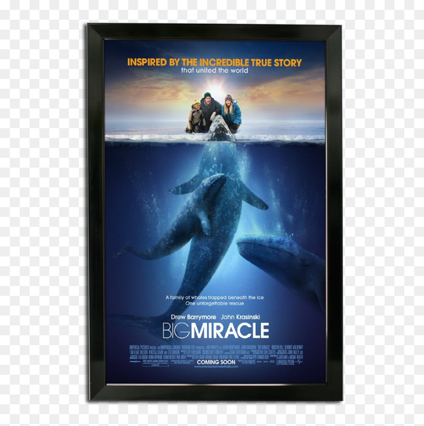 Bass Loc Poster Frame - Drew Barrymore Movies Poster, HD Png Download - poster frame png