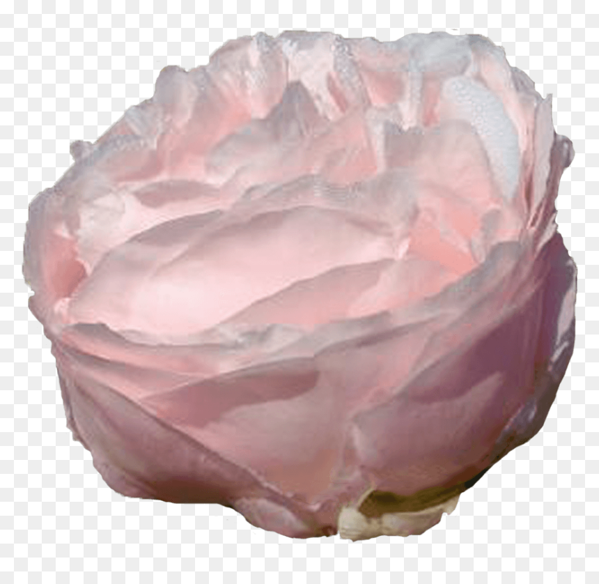 Garden Roses, HD Png Download - watercolor peonies png