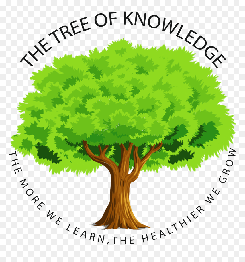 Obesity Prevention Foundation Of America - Elm, HD Png Download - obesity png