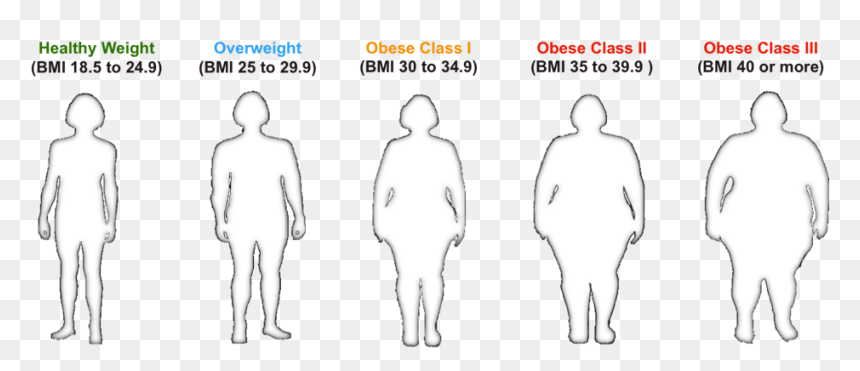 Bmi For Healthy To Obese Individuals - Body Mass Index, HD Png Download - obesity png