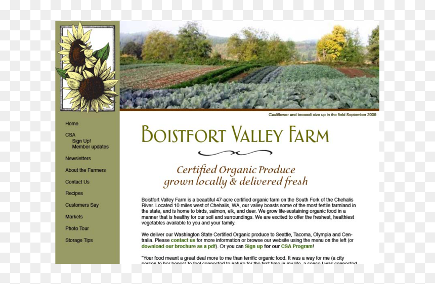 Bvf - Plantation, HD Png Download - great deal png