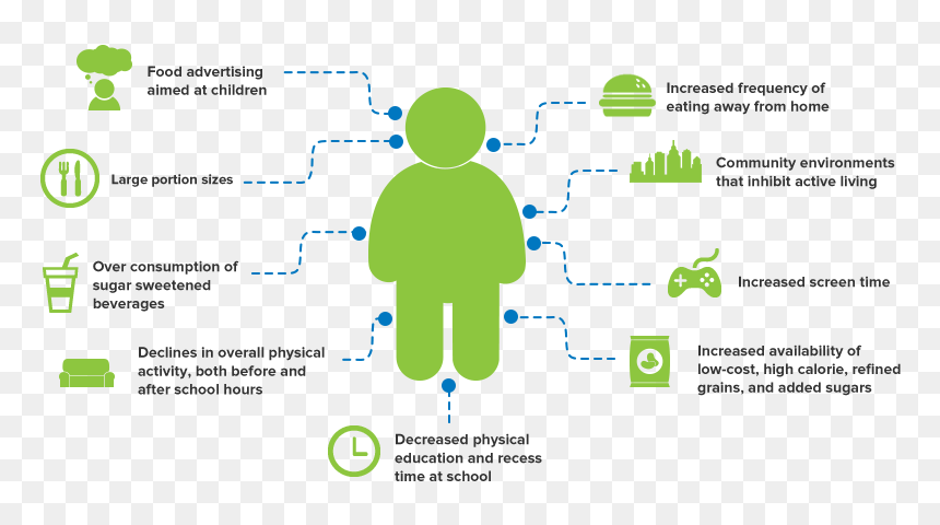 Factor That Causes Obesity, HD Png Download - obesity png