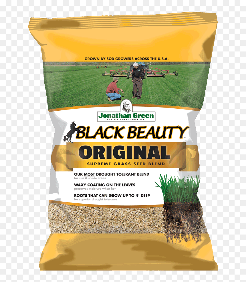 Black Beauty Ultra Grass Seed, HD Png Download - grass patch png
