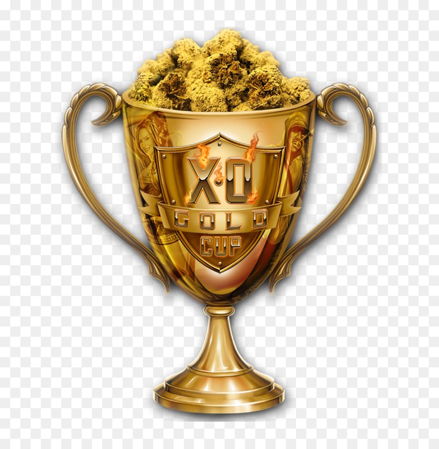 Trophy Golden Gold Cup Concacaf Wilmington Angeles - Concacaf Gold Cup, HD Png Download - angeles png