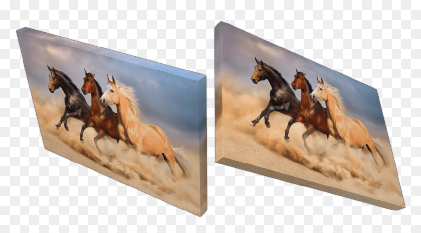 Herd, HD Png Download - sand storm png
