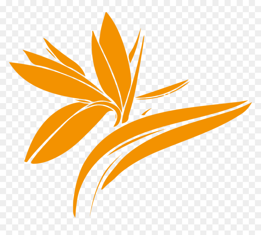 Diseño Grafico - Jf, HD Png Download - diseño grafico png