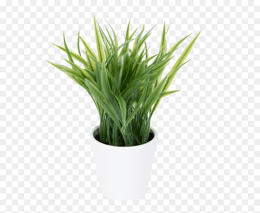 Planta Artificial Listones - Sweet Grass, HD Png Download - listones png