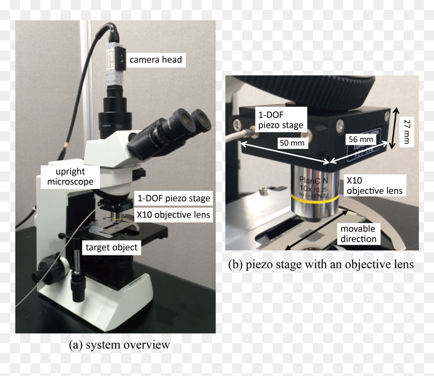 Motion Blur Free Microscope, HD Png Download - motion blur png