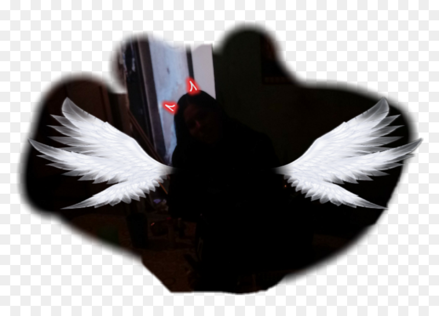 #angelitos - Black Swan, HD Png Download - angelitos png