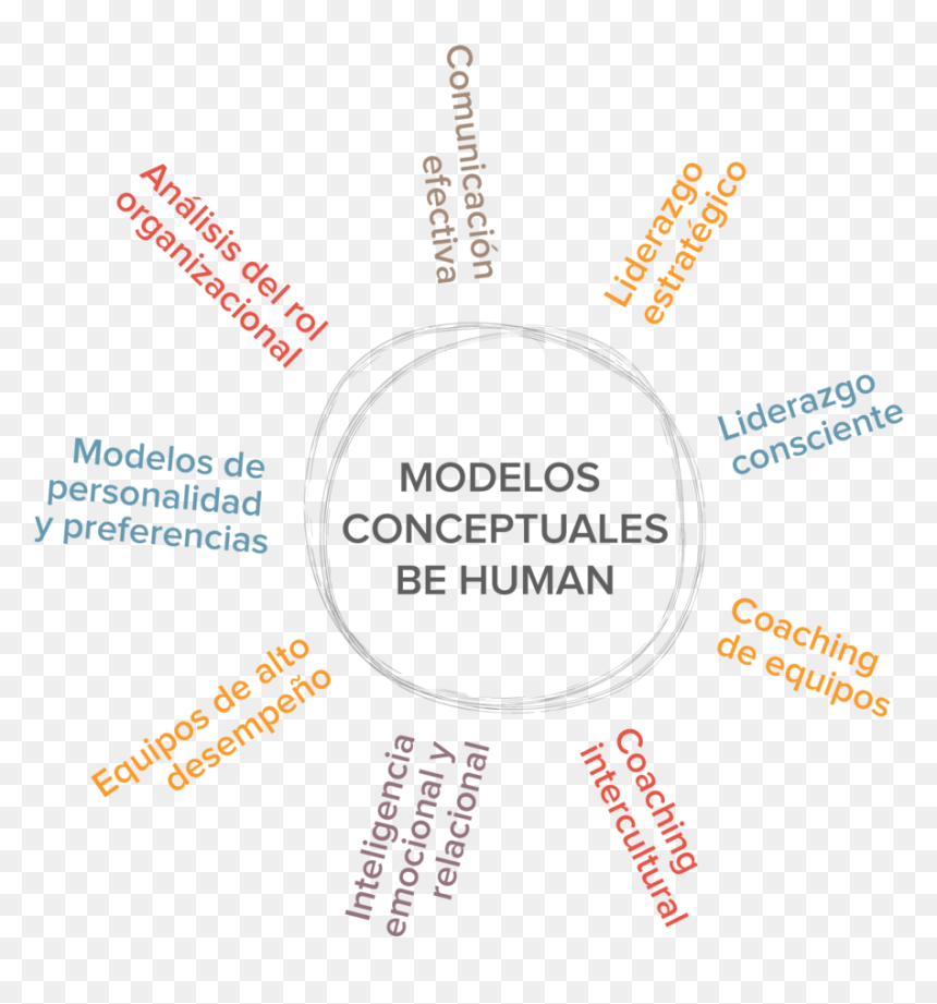 Modelos-34 - Circle, HD Png Download - liderazgo png